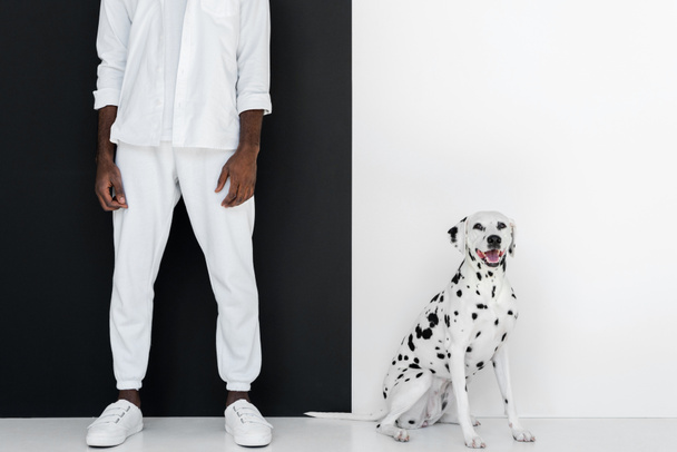 περικομμένη εικόνα του κομψό αφρικανική αμερικανική άνδρα με λευκά ρούχα με σκυλί Δαλματίας κοντά σε μαύρο και άσπρο τοίχο - Φωτογραφία, εικόνα