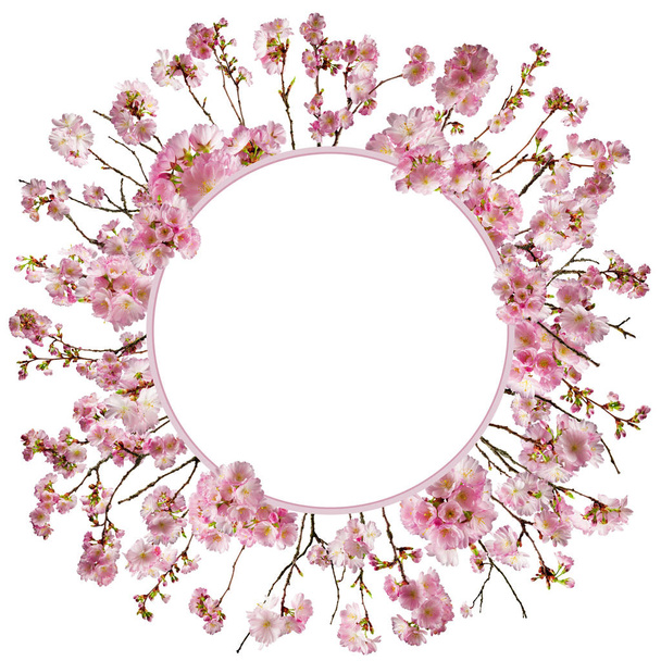 adorable cherry blossom background with little branches and leaves, free space for your text - Zdjęcie, obraz