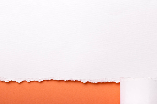 Ripped white paper with colored background with space for text - Fotografie, Obrázek