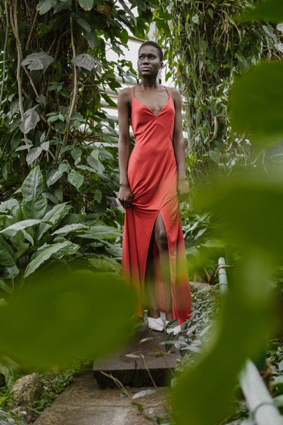 selective focus of attractive african american model posing in red dress in green garden - Photo, image