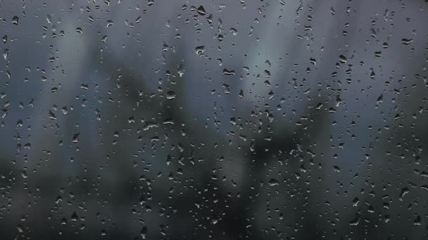 Windows Rain Drop Spring kuvamateriaalia
 - Materiaali, video