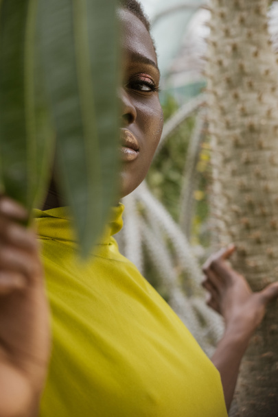 selective focus of elegant african american girl posing behind tropical leaves - 写真・画像
