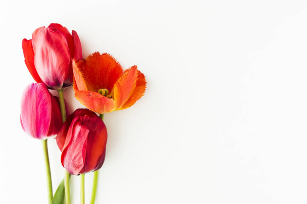 Flores de tulipán sobre mesa blanca con mano humana y espacio para copiar
  - Foto, Imagen