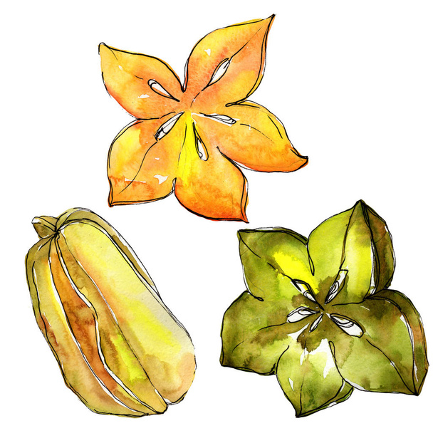 Eksoottiset karambola luonnonvaraisten hedelmien akvarelli tyyli eristetty
. - Valokuva, kuva