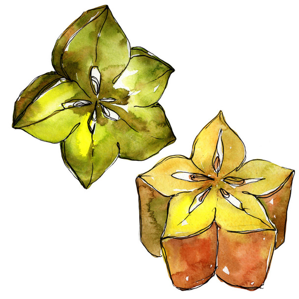 Exotic carambola wild fruit in a watercolor style isolated. - Photo, Image