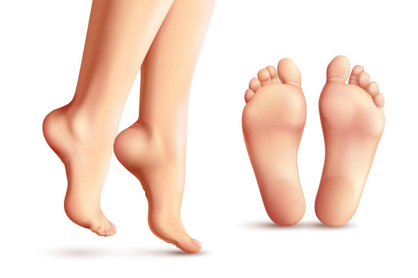 Realistic Female Feet Set - Vector, Image