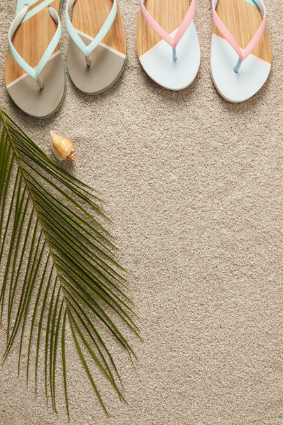 düz lay yaz flip flop, yeşil palmiye yaprağı ve kum üzerinde seashell ile - Fotoğraf, Görsel