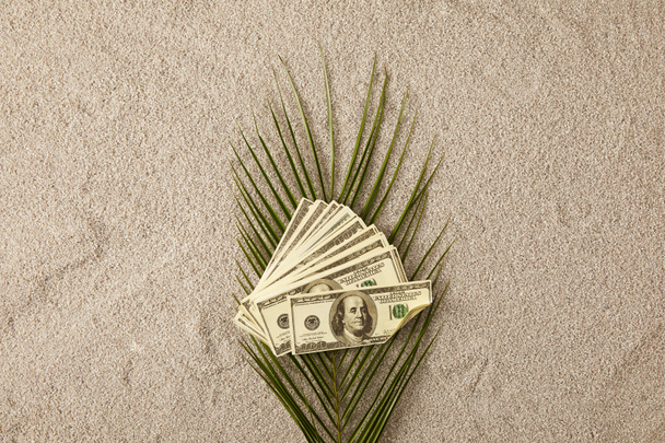 top view of green palm leaf and dollar banknotes on sand, vacation concept - Foto, immagini
