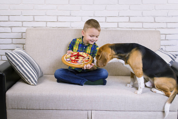 funny boy and dog beagle eat pizza on the sofa - Foto, afbeelding