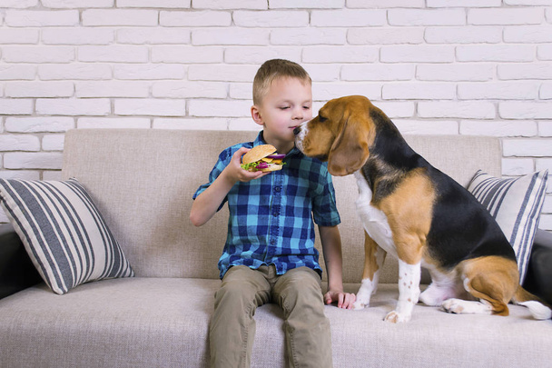 grappige jongen en hond beagle eten van een hamburger op de Bank - Foto, afbeelding