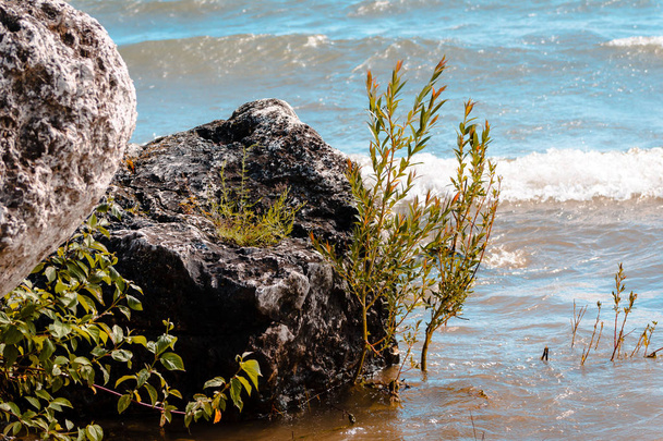 Michigan Gölü dalgalar tarafından yıkandıktan kayalar - Fotoğraf, Görsel