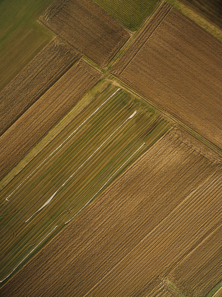 vista aérea de hileras de campos agrícolas, Europa
 - Foto, Imagen