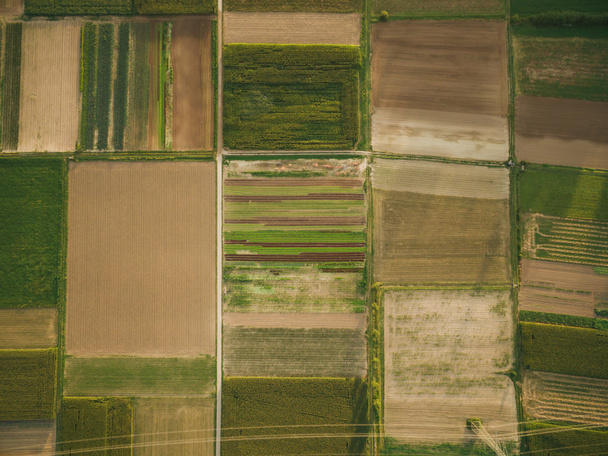 vue aérienne des champs agricoles verts avec ligne électrique, europe
 - Photo, image