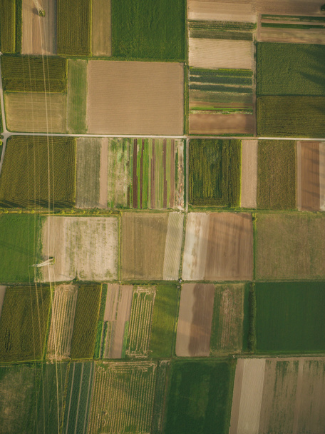 vista aérea de los campos agrícolas con línea eléctrica, Europa
 - Foto, Imagen