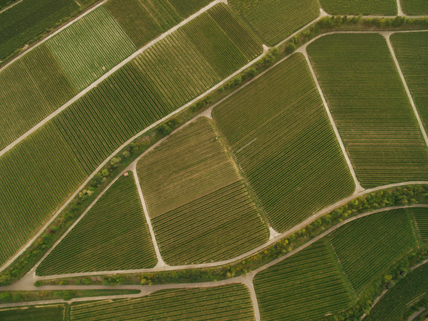 bird eye view of green agricultural fields, europe - Foto, afbeelding