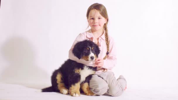 Chica y cachorro de un perro pastor bernés
 - Metraje, vídeo