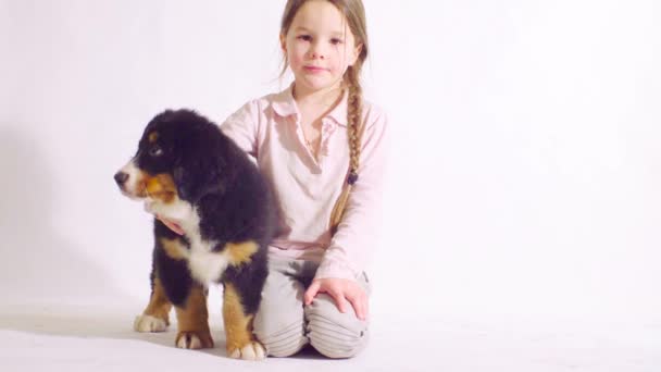 Girl and puppy of a bernese shepherd dog - Footage, Video