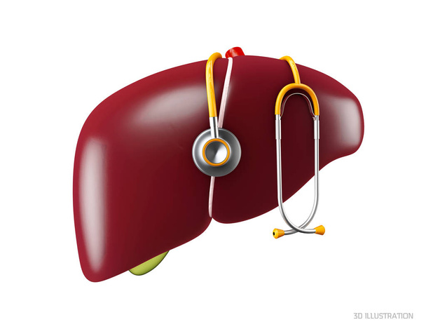 3d Illustration of Human liver anatomy. Human internal organs symbol.3d illustration isolated on white background - Foto, Bild