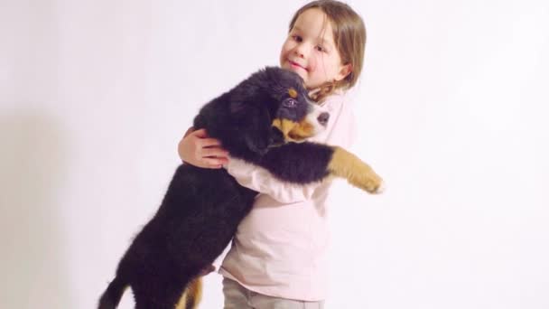 Lány és a kutya berni pásztor kiskutya - Felvétel, videó
