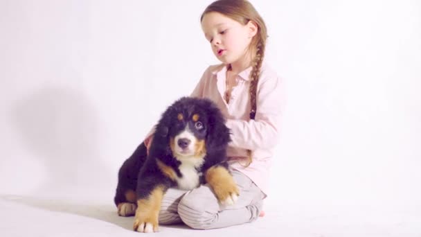 Девочка и щенок пастушьего пса Бернеза
 - Кадры, видео