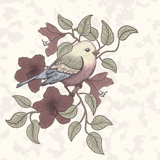 διανυσματικά εικονογράφηση του ένα πολύχρωμο πουλί και ανθισμένα καλοκαίρι λουλούδια - Διάνυσμα, εικόνα