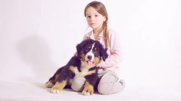 Dziewczyna i szczeniak Berneński pies Owczarek - Materiał filmowy, wideo