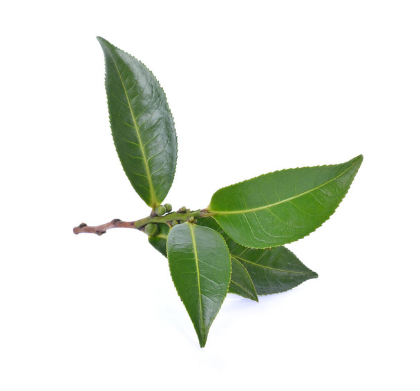 Green tea leaf - Zdjęcie, obraz