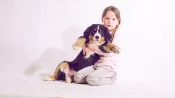 Девочка и щенок пастушьего пса Бернеза
 - Кадры, видео