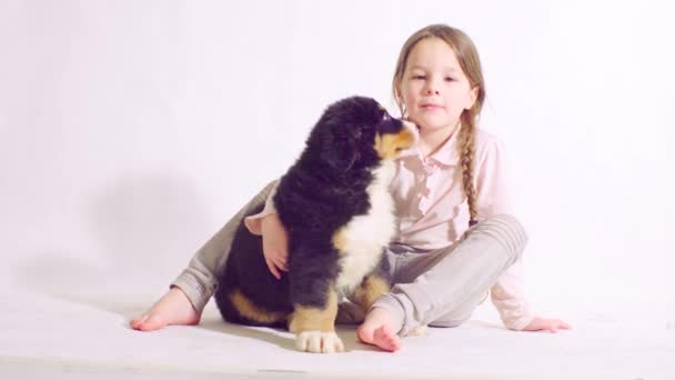 Dívka a štěně Bernský pastevecký pes - Záběry, video