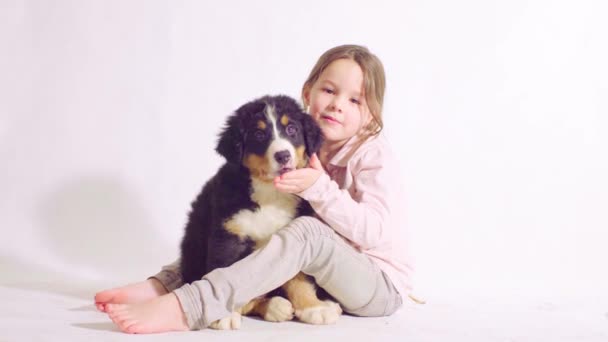 Menina e cachorro de um cão pastor bernês
 - Filmagem, Vídeo