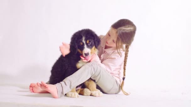 Chica y cachorro de un perro pastor bernés
 - Imágenes, Vídeo