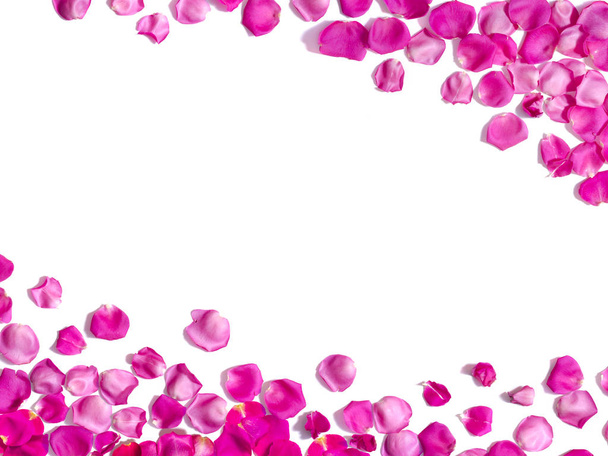 weißer Hintergrund mit rosa Rosenblättern  - Foto, Bild
