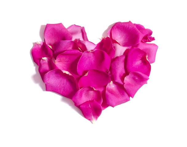 Pink rose petals heart on white background - Zdjęcie, obraz