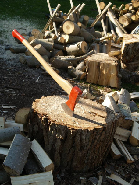 Cleaver with chopping block and wood - Photo, Image