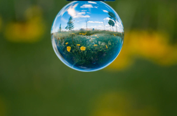 Heijastuksia voikukkia puutarhassa keväällä kristallipallo / käsite ympäristö
 - Valokuva, kuva