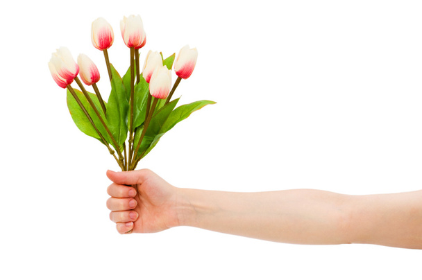 Hände, die Tulpen isoliert halten - Foto, Bild