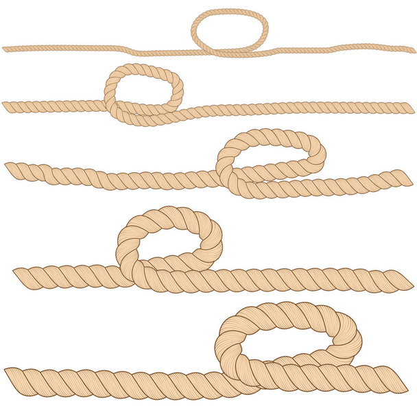 Set of horizontal brown ropes with loops are isolated on white background. - Vector, Image