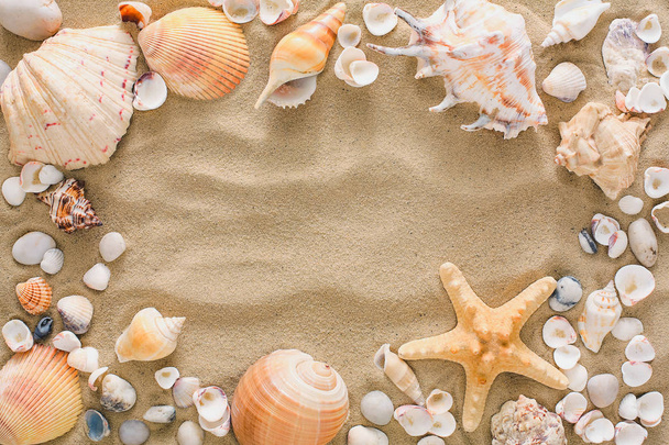 Seashells and pebbles background, natural seashore stones - Foto, Bild
