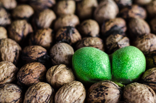багато текстурованих очищених волоських горіхів і один подвійний зелений
 - Фото, зображення