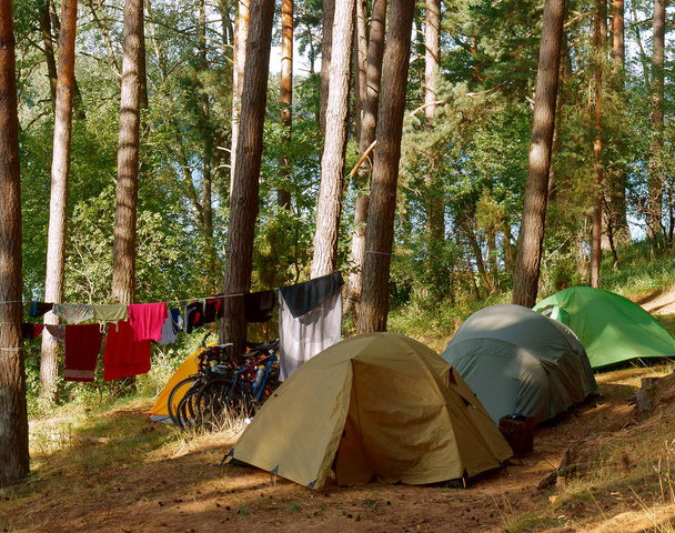 nyári üdülés a sátrak, turisztikai sátrak az erdő közelében egy lake - Fotó, kép