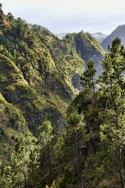 Zakonnice doliny w górach powyżej Funchal na Maderze, tak zwane, ponieważ kiedy Piraci zaatakowali dobry siostry uciekają do tej doliny ukryte. Na święta Bożego Narodzenia mieszkańcy zrobić ogromny uroczy szopka betlejemska przy użyciu lalki przedstawiają życie na Maderze - Zdjęcie, obraz