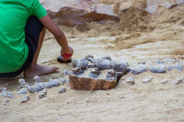 Niños aprendiendo sobre, Excavación de fósiles de dinosaurios simulación en el parque, Asia Bangkok Tailandia
. - Foto, Imagen