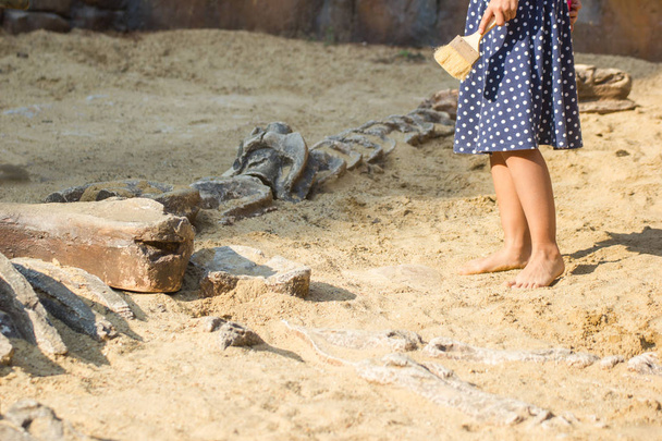 Children learning about, Excavating dinosaur fossils simulation in the park, Asia Bangkok Thailand. - Foto, afbeelding