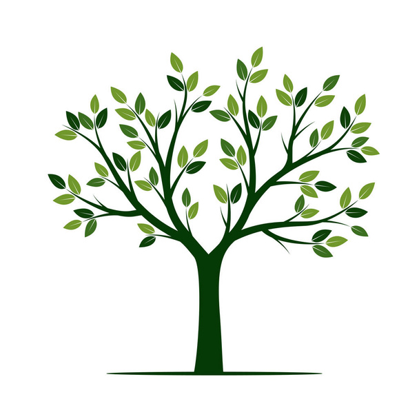 Green Tree. Vector Illustration. - Διάνυσμα, εικόνα
