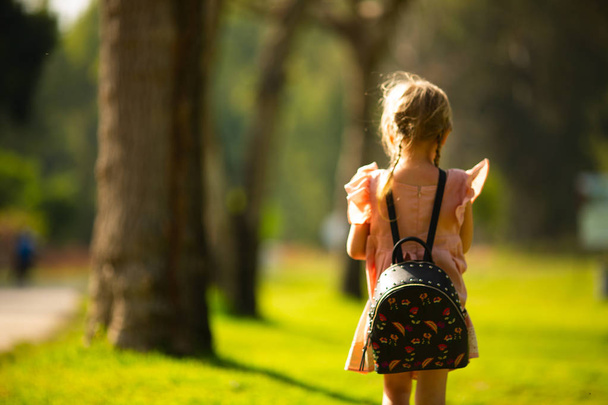 Beautiful little girl with backpack walking in the park ready back to school, back view, fall outdoors, education concept - Zdjęcie, obraz