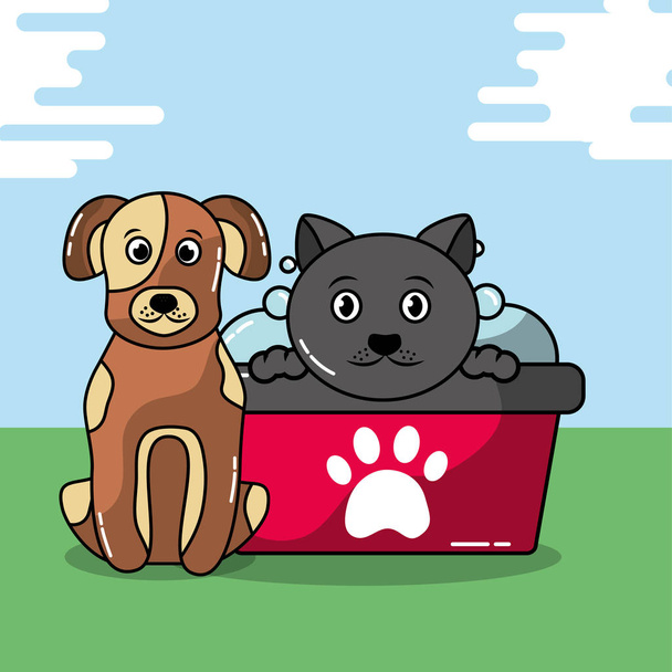 Mascota gato y perro
 - Vector, imagen