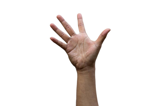 mano humana aislar en blanco
 - Foto, imagen