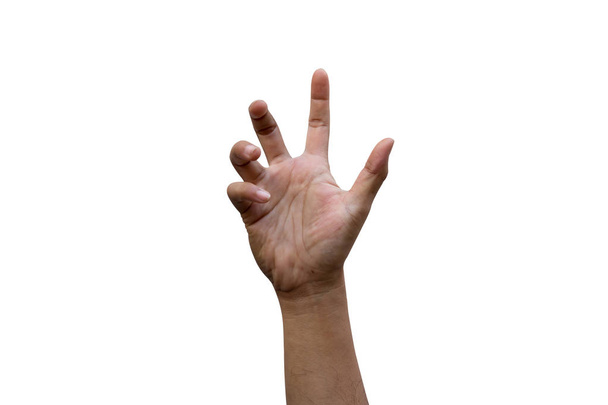 человеческая рука изолировать на белом
 - Фото, изображение
