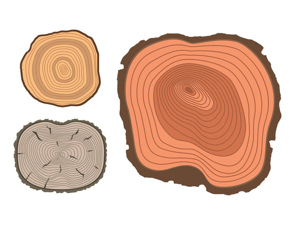 Κύκλος υφή φέτα ξύλου κορμού δέντρο κοπεί ξύλινη πρώτη ύλη διάνυσμα λεπτομέρεια φυτό χρόνια ιστορία ανάγλυφη τραχιά δάσος δέντρο κορυφή. - Διάνυσμα, εικόνα