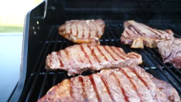 Detailní záběr rýžování klip z několika úst zalévání červené maso hovězí steaky včetně filet mignon, ribeye, a t-bone kusy značkami char na plynový gril s žluté plameny pod kovové rošty. - Záběry, video
